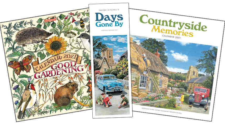 Illustrated calendars