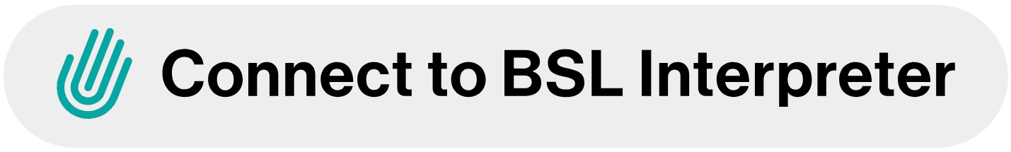 Connect to BSL interpreter
