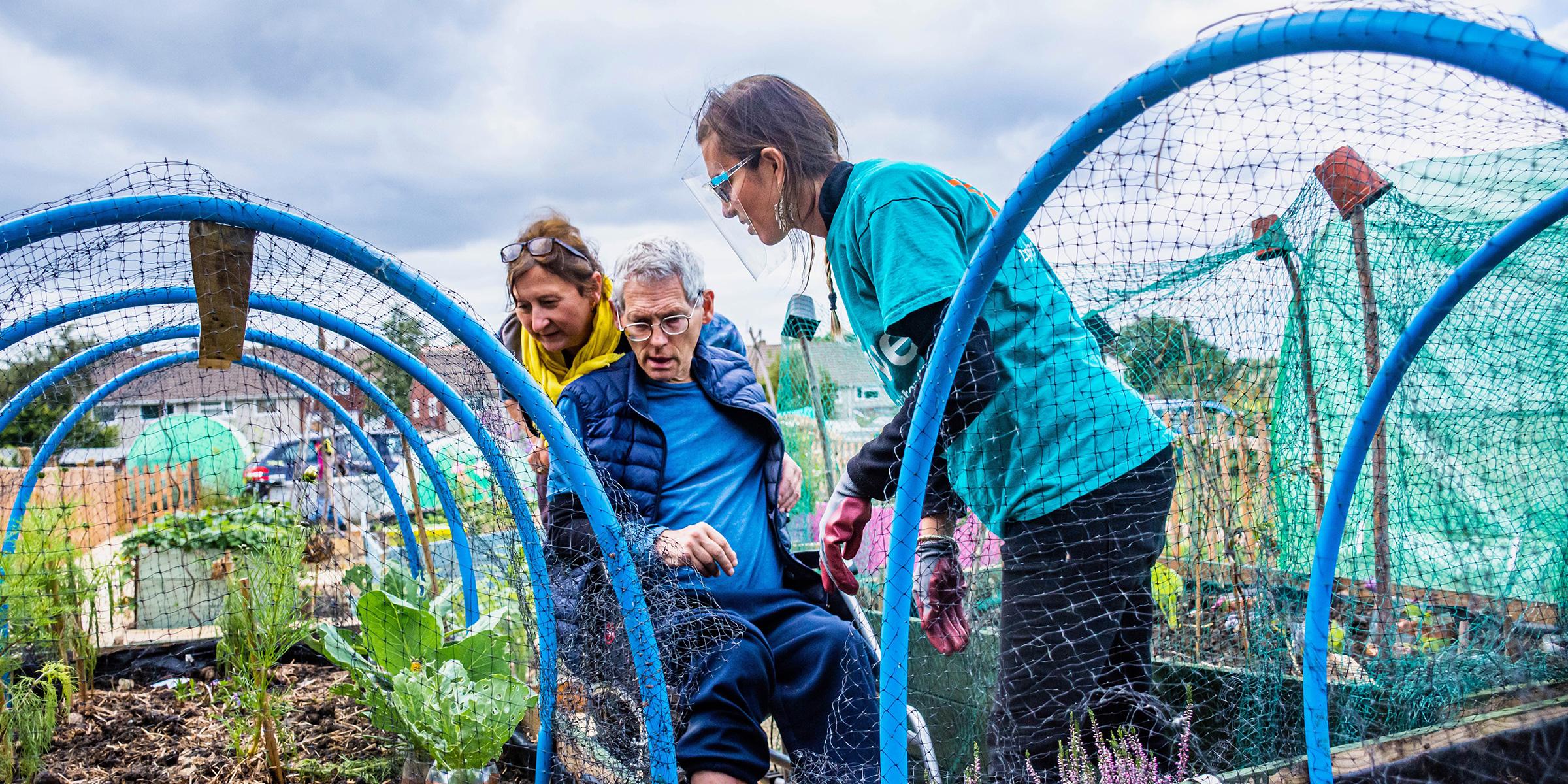 People affected by dementia and volunteers at the Alive gardening allotment