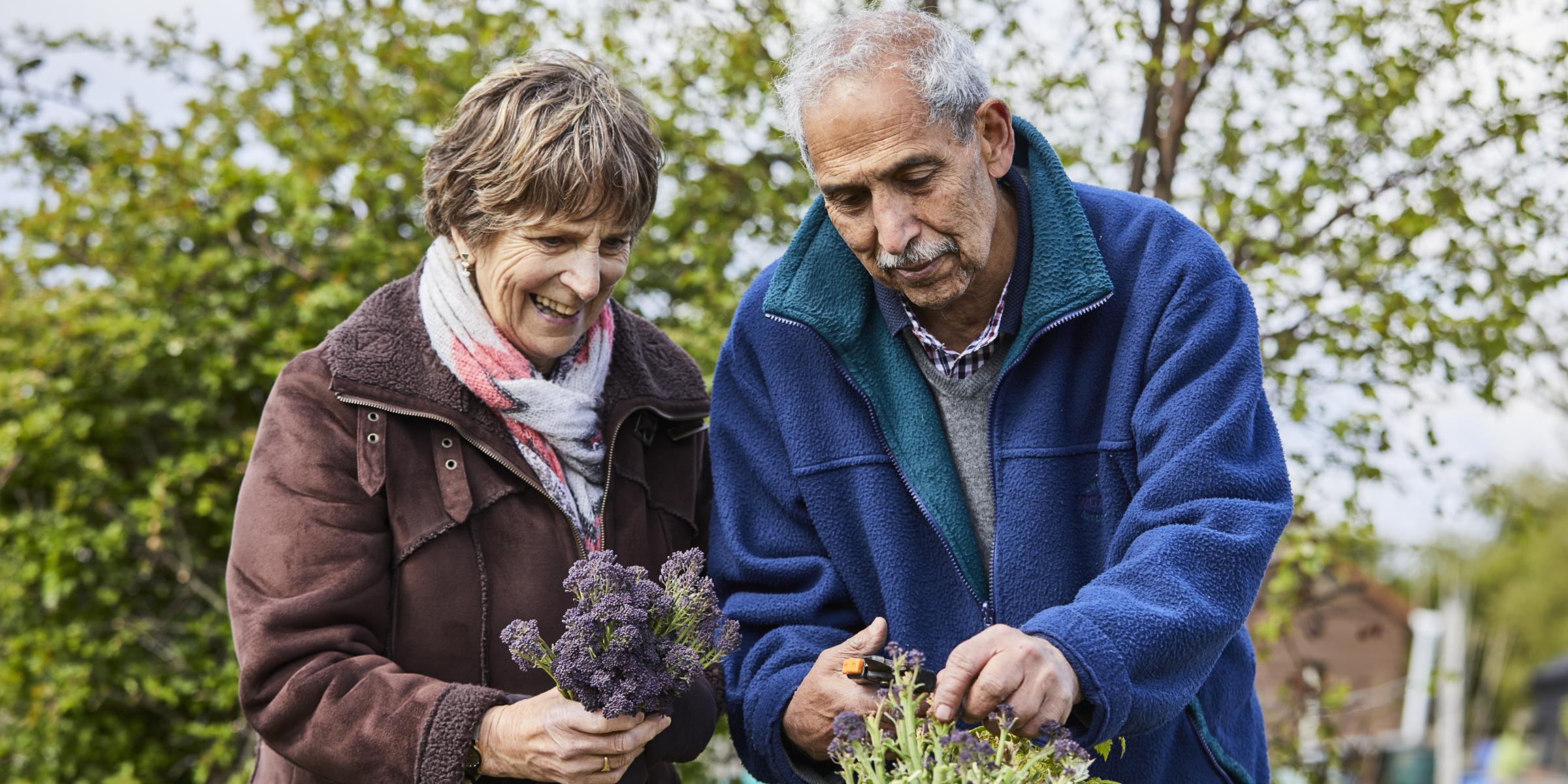 An elderly couple arrange some shrubbery in a winter garden