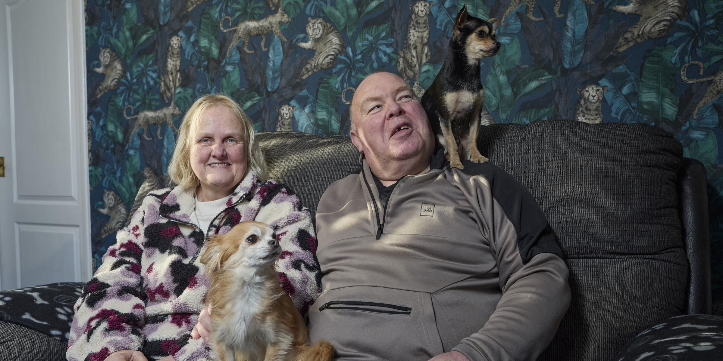 A man and woman sit on a grey sofa. There is a small brown and white dog sat between them, and small black and brown dog sits on the man's shoulder