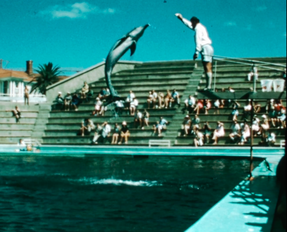 David's grandads photos