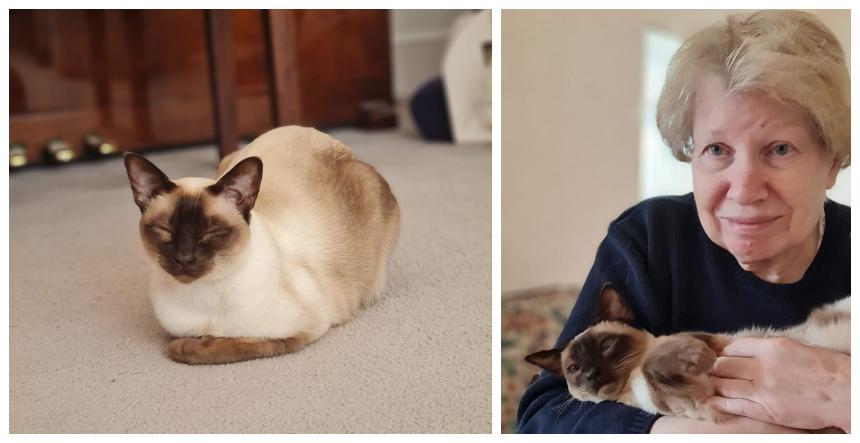 Two pictures of a cat, one with Brenda cradling it in her arms