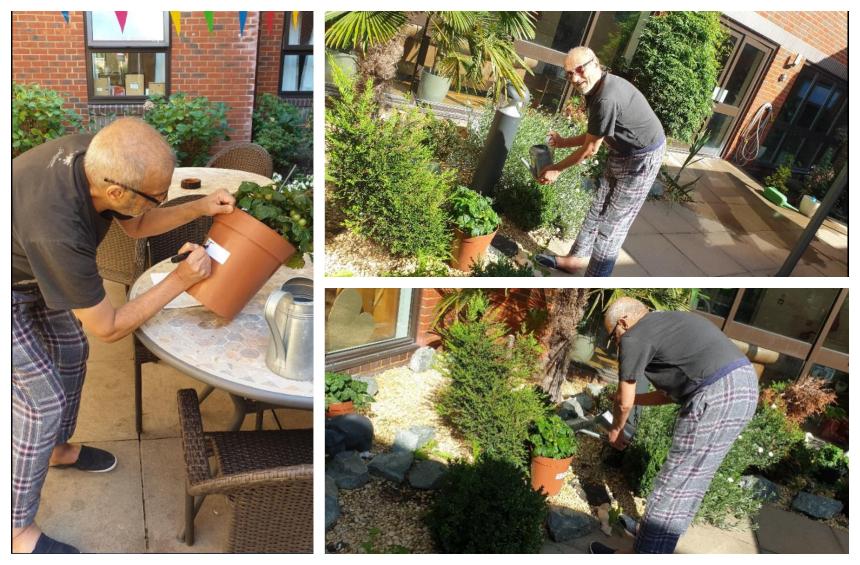 Deepak at the care home labelling and caring for his tomato plants