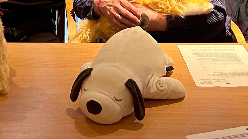 Berty the breathing dog