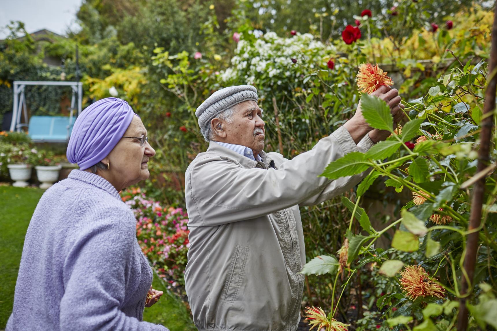 An older couple, look at a blooming orange flower in a garden