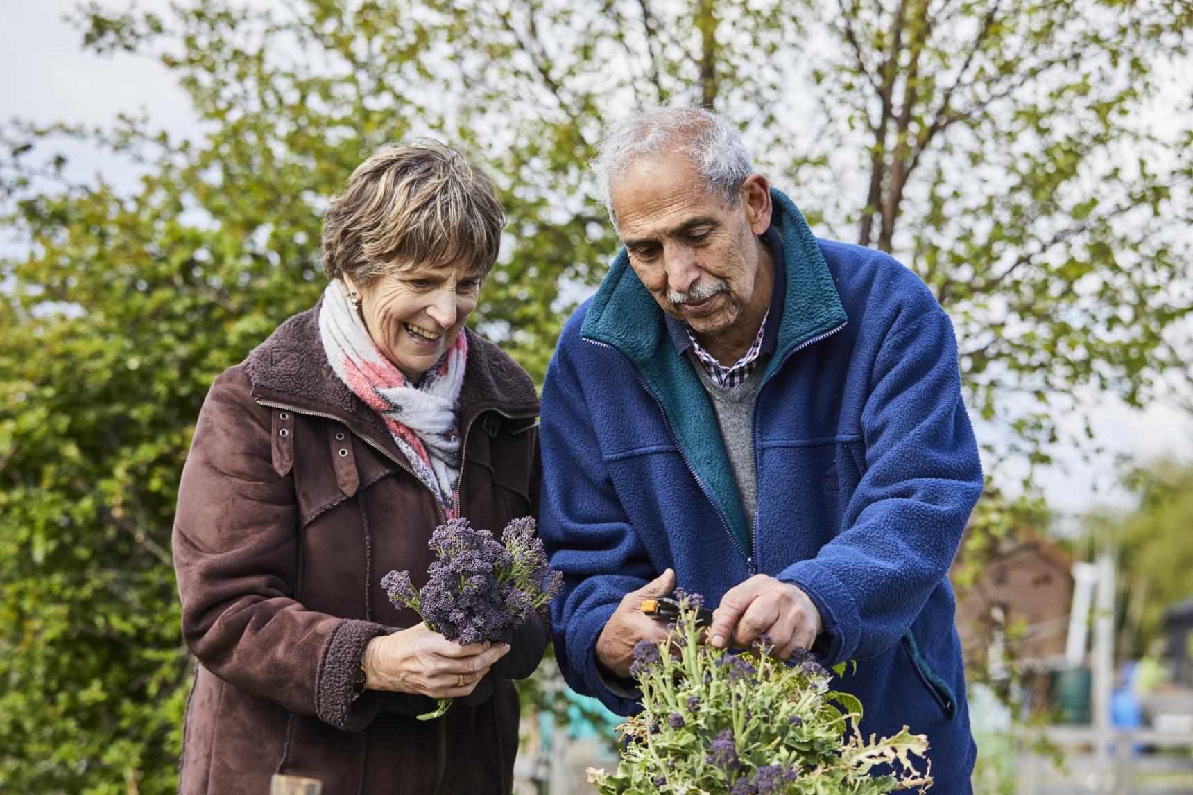 An elderly couple arrange some shrubbery in a winter garden