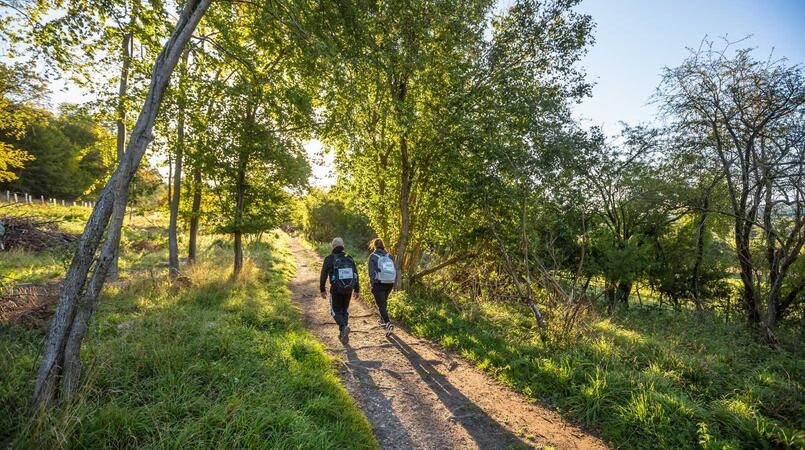 A couple walking into the woods