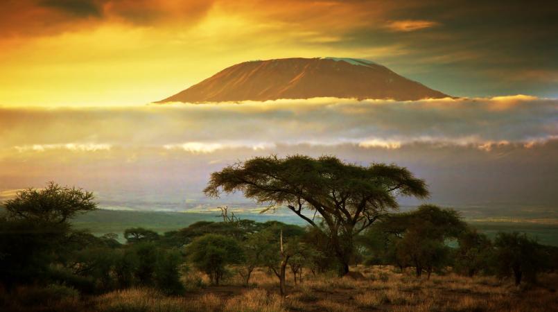 Kilimanjaro at dusk
