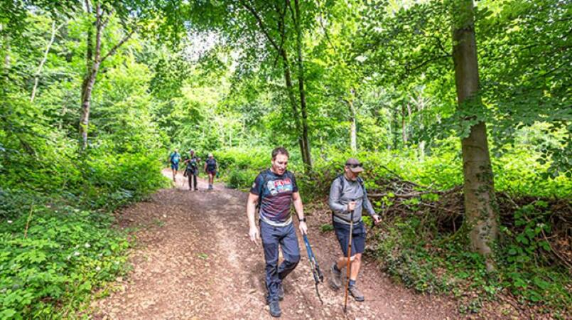 Walkers in the Bath Woods