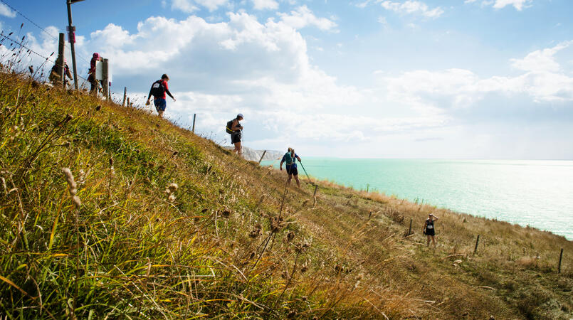 Isle of Wight walkers